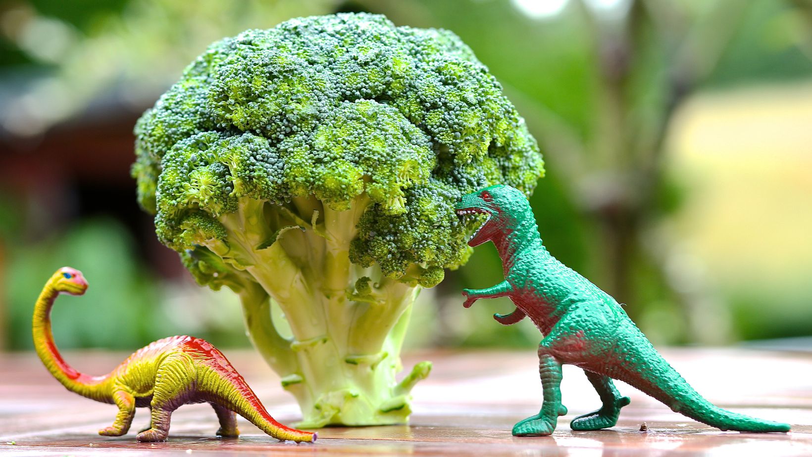 Quando non mangiare i broccoli