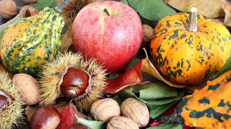 verdura di stagione a ottobre